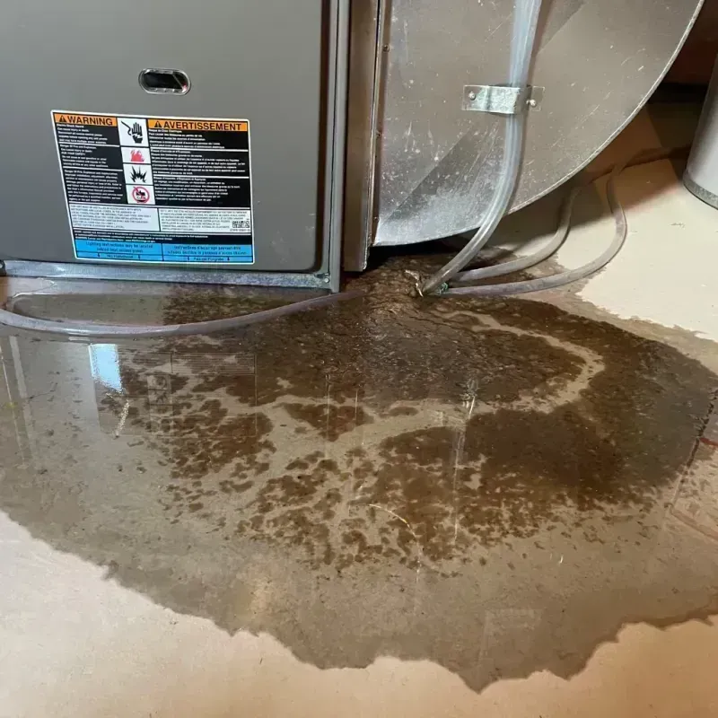 Appliance Leak Cleanup in Island County, WA